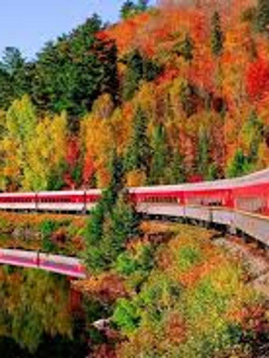  Algoma Central Railway Tour Train (Sault Ste. Marie, Ontario)
