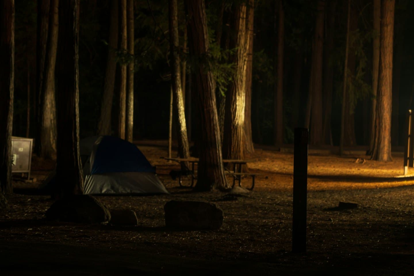 Blue and grey tent glowing among trees at a campsite.