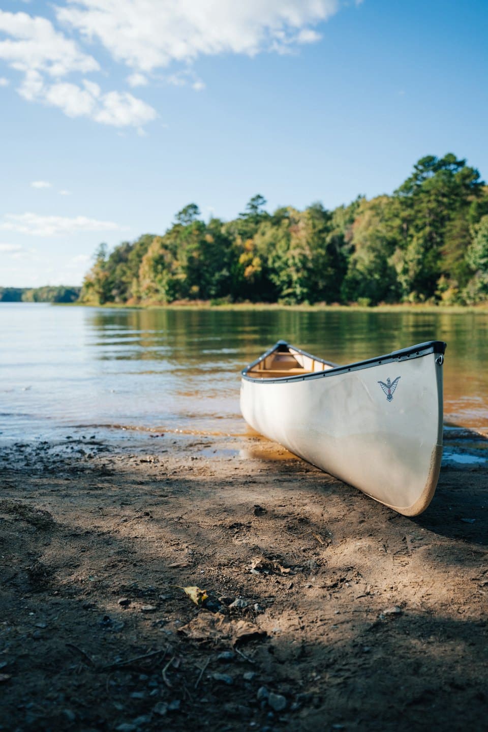 A cream-colored canoe on a sandy lake shore.