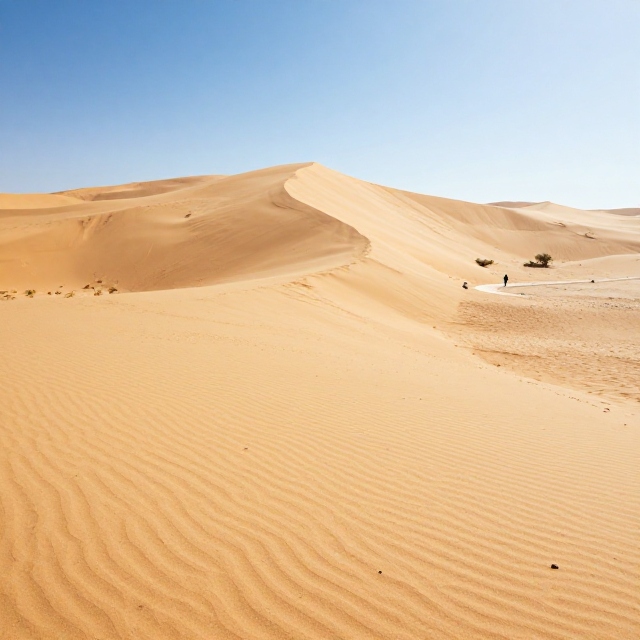 Ultimate Travel Guide to Dune du Pyla France